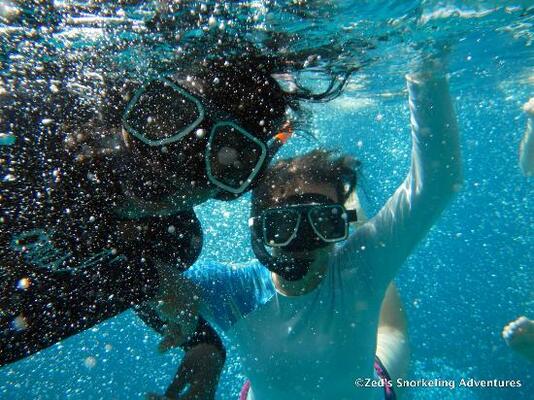 Surfer's Point Guest House