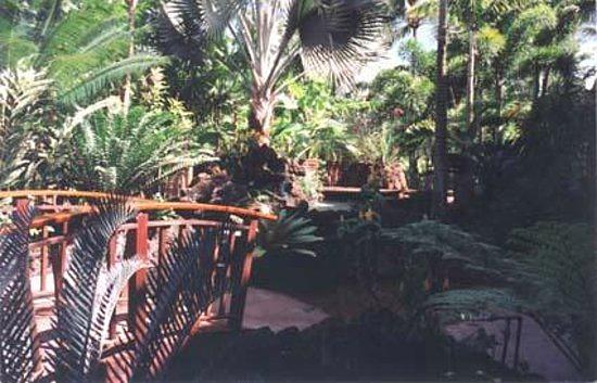 Prince Kuhio Condos