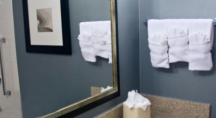 Hilton Garden Inn Austin Northwest / Arboretum