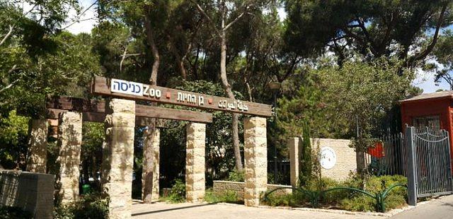 Haifa Educational Zoo