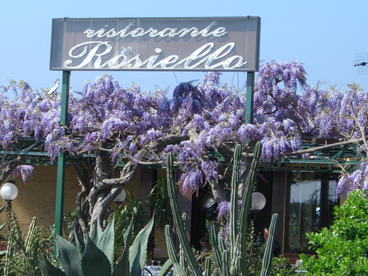 Rosiello