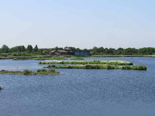 WWT London Wetland Centre