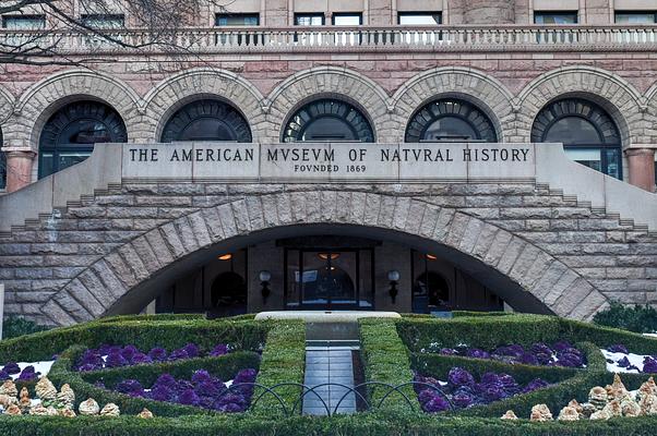 American Museum of Natural History