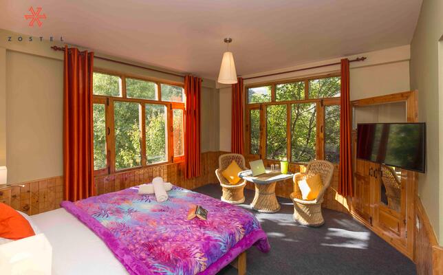 Zostel Manali (Old Manali)