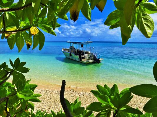 Mai Dive - Astrolabe Reef Resort
