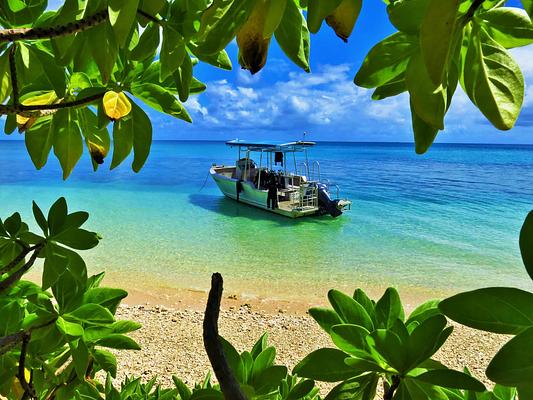 Mai Dive - Astrolabe Reef Resort