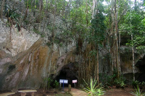 Green Grotto Caves