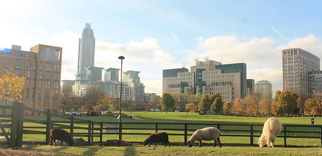 Vauxhall City Farm