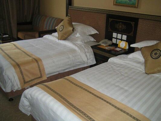 Brahmaputra Grand Hotelhmcc Dia