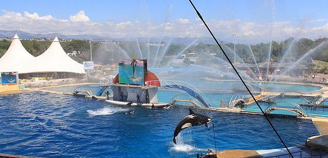 Marineland