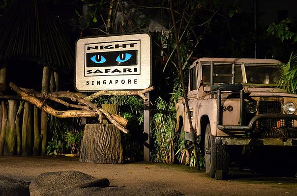 singapore zoo vs night safari