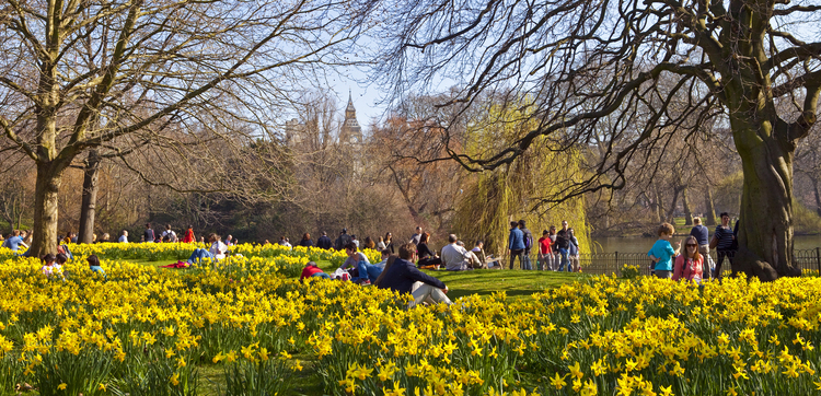 St. James's Park