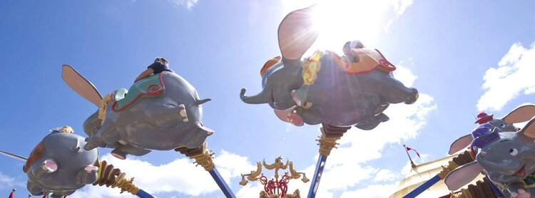 Walt Disney World Resort