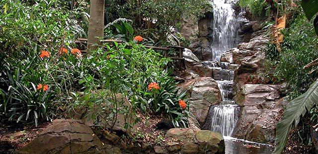 Pretoria National Botanical Garden