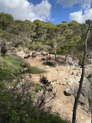 Cala Mitjana