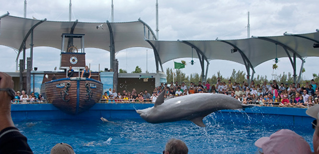 Miami Seaquarium