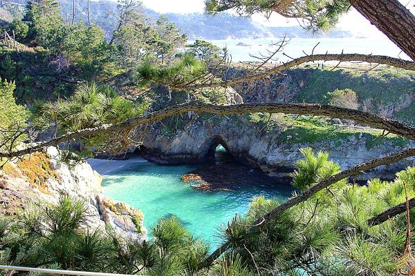 Point Lobos