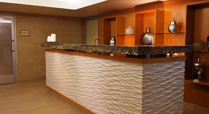Renaissance Chicago Downtown Hotel