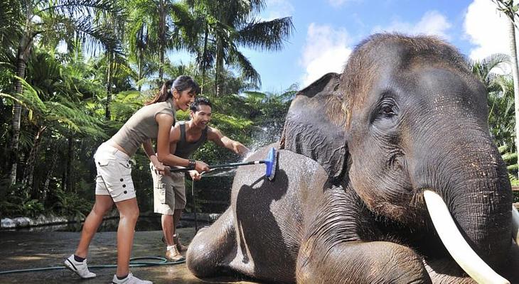 Mason Elephant Park  & Lodge