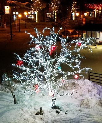 Gondola Square Condominiums
