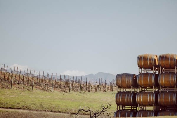 Buttonwood Farm Winery & Vineyard