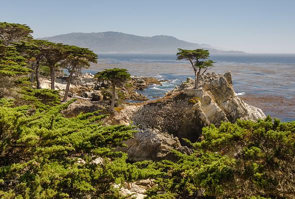 17-Mile Drive