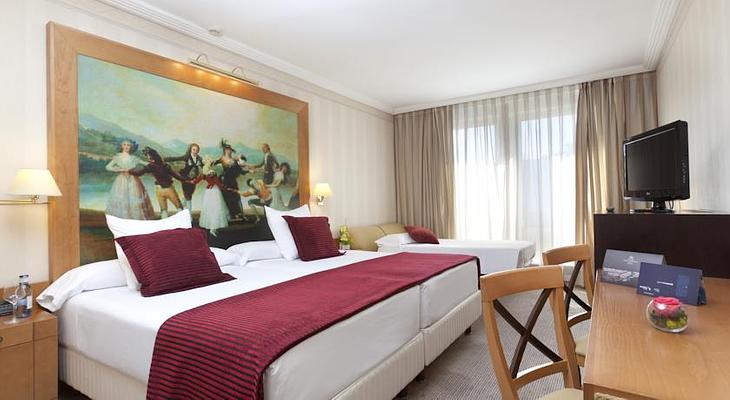 Hotel Princesa Plaza Madrid