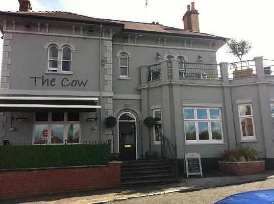 Cow Restaurant