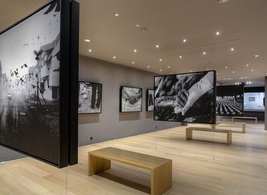 Galerija 11/07/95