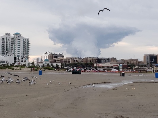 Stewart Beach