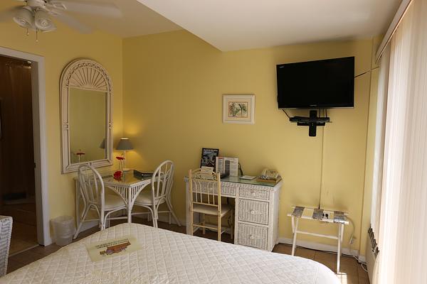 The Green Iguana Hotel