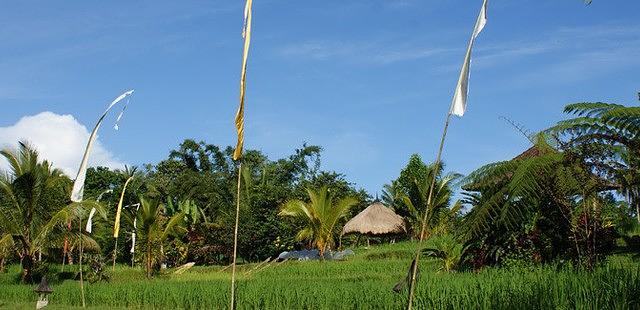 Luhur Batukaru Temple