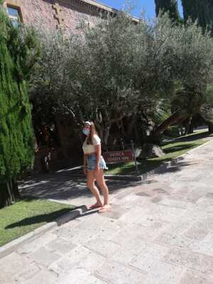 Sella & Mosca