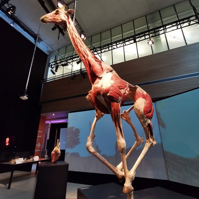 TELUS Spark Science Centre