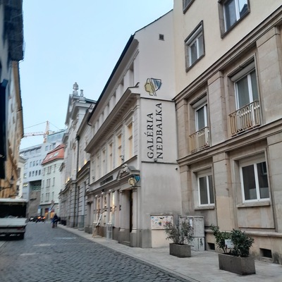 Nedbalka Gallery