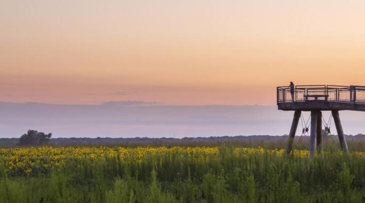 Columbia Bottom Conservation Area