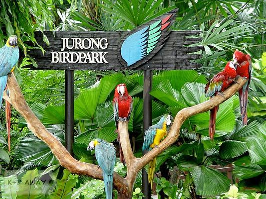 Jurong Bird Park