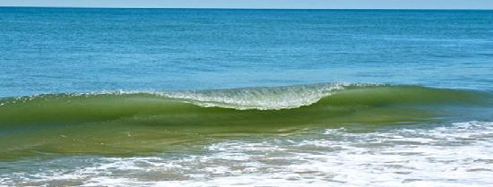 The Ocean Dunes at Amagansett