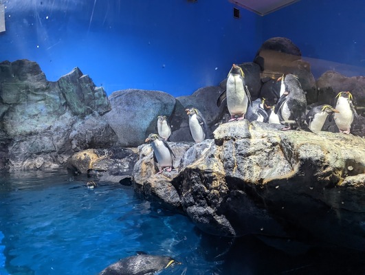 Underwater World Langkawi