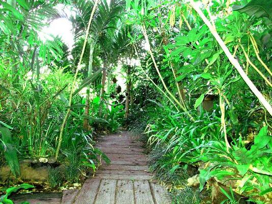 Whitsunday Moorings Bed and Breakfast