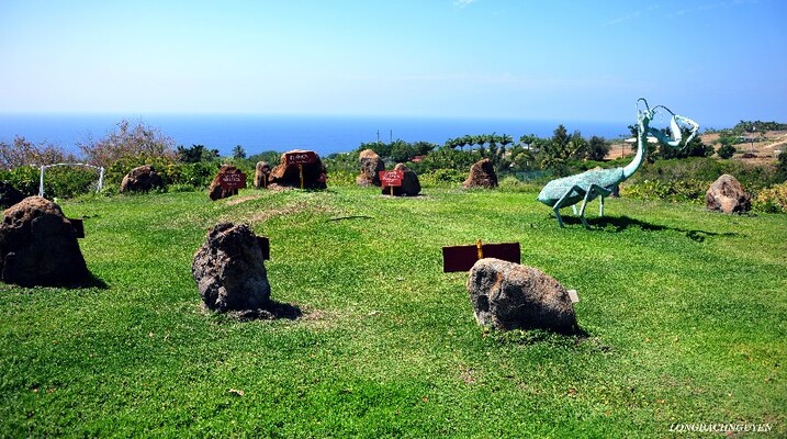 Pua Mau Place Arboretum & Botanical Garden