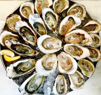 167 Raw Oyster Bar