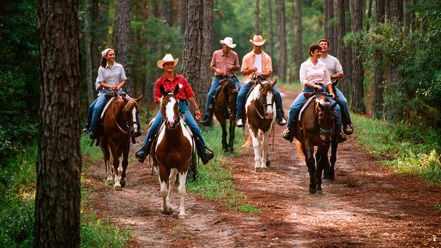 The Campsites at Disney's Fort Wilderness Resort