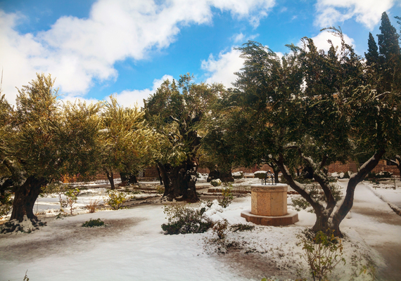 Garden of Gethsemane