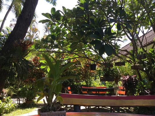 Baan Bua Guesthouse