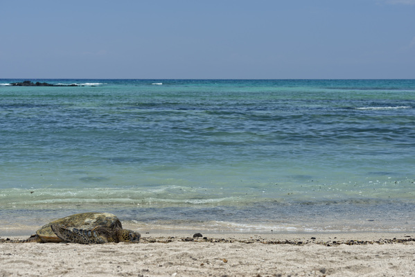 Kailua Beach Park