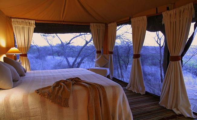 Elewana Lewa Safari Camp