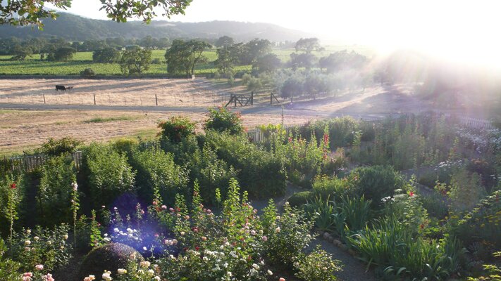 Beltane Ranch