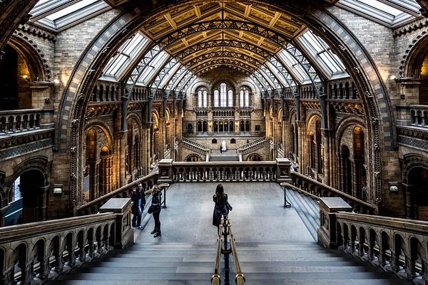 Natural History Museum