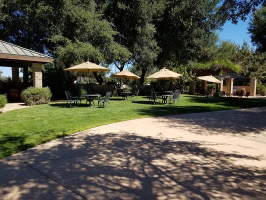 Firestone Vineyard